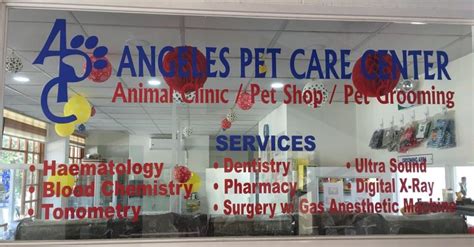 pet cremation baguio|Angeles Pet Care Center .